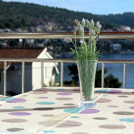 In Okrug Gornji With Sea View, Terrace, Air Conditioning, Wifi 5069-1 *